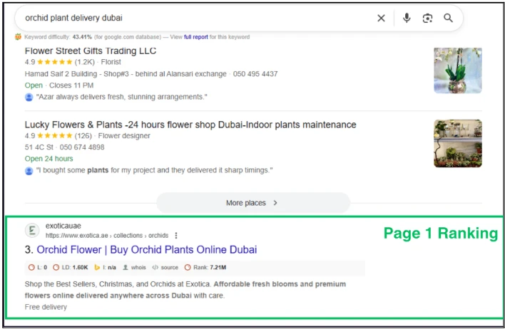 Exotica UAE page 1 Google ranking for “orchid plant delivery dubai.”